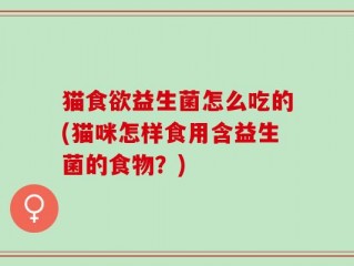 猫食欲益生菌怎么吃的(猫咪怎样食用含益生菌的食物？)