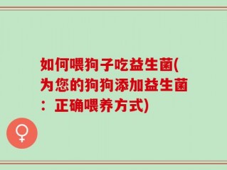 如何喂狗子吃益生菌(为您的狗狗添加益生菌：正确喂养方式)