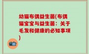 幼猫布偶益生菌(布偶猫宝宝与益生菌：关于毛发和健康的必知事项)