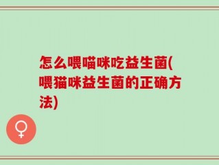怎么喂喵咪吃益生菌(喂猫咪益生菌的正确方法)