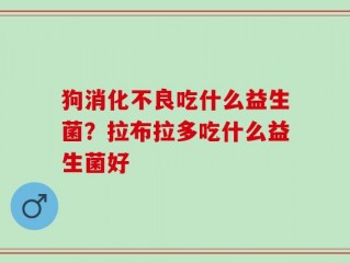 狗消化不良吃什么益生菌？拉布拉多吃什么益生菌好