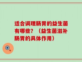 适合调理肠胃的益生菌有哪些？（益生菌滋补肠胃的具体作用）