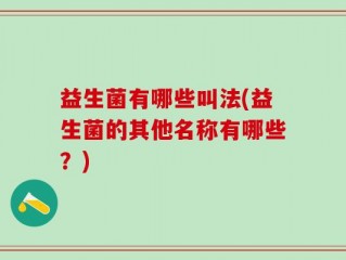 益生菌有哪些叫法(益生菌的其他名称有哪些？)