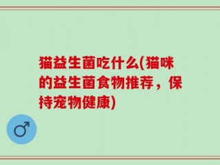 猫益生菌吃什么(猫咪的益生菌食物推荐，保持宠物健康)
