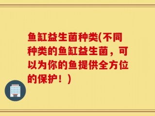 鱼缸益生菌种类(不同种类的鱼缸益生菌，可以为你的鱼提供全方位的保护！)