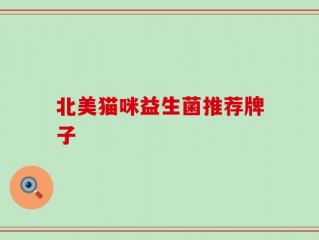 北美猫咪益生菌推荐牌子