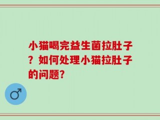 小猫喝完益生菌拉肚子？如何处理小猫拉肚子的问题？