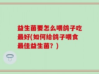 益生菌要怎么喂鸽子吃最好(如何给鸽子喂食最佳益生菌？)