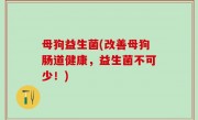 母狗益生菌(改善母狗肠道健康，益生菌不可少！)