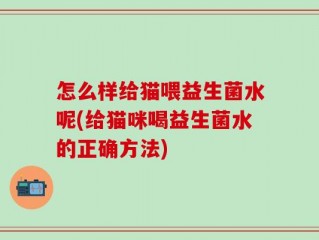 怎么样给猫喂益生菌水呢(给猫咪喝益生菌水的正确方法)