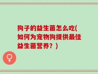狗子的益生菌怎么吃(如何为宠物狗提供最佳益生菌营养？)