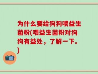 为什么要给狗狗喂益生菌粉(喂益生菌粉对狗狗有益处，了解一下。)