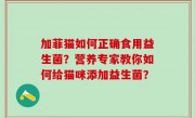 加菲猫如何正确食用益生菌？营养专家教你如何给猫咪添加益生菌？