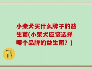 小柴犬买什么牌子的益生菌(小柴犬应该选择哪个品牌的益生菌？)