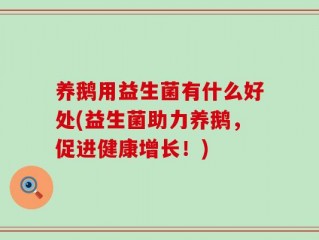 养鹅用益生菌有什么好处(益生菌助力养鹅，促进健康增长！)