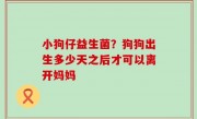 小狗仔益生菌？狗狗出生多少天之后才可以离开妈妈