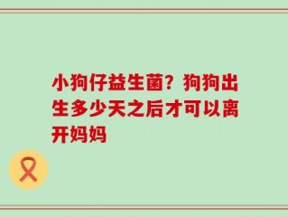 小狗仔益生菌？狗狗出生多少天之后才可以离开妈妈