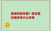莫迪的益生菌？益生菌对猫咪有什么作用