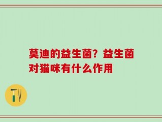莫迪的益生菌？益生菌对猫咪有什么作用