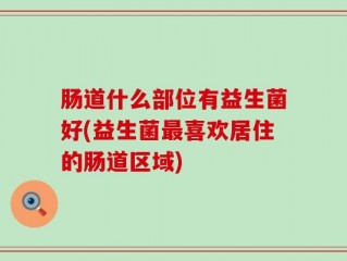 肠道什么部位有益生菌好(益生菌最喜欢居住的肠道区域)