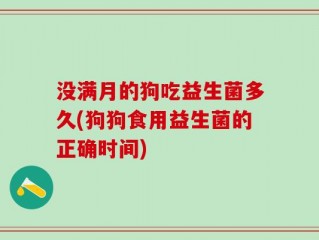 没满月的狗吃益生菌多久(狗狗食用益生菌的正确时间)