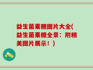 益生菌果糖图片大全(益生菌果糖全景：附精美图片展示！)