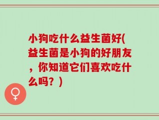 小狗吃什么益生菌好(益生菌是小狗的好朋友，你知道它们喜欢吃什么吗？)