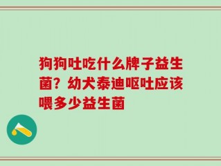 狗狗吐吃什么牌子益生菌？幼犬泰迪呕吐应该喂多少益生菌
