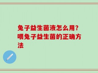 兔子益生菌液怎么用？喂兔子益生菌的正确方法
