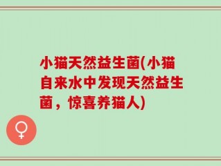 小猫天然益生菌(小猫自来水中发现天然益生菌，惊喜养猫人)