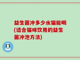 益生菌冲多少水猫能喝(适合猫咪饮用的益生菌冲泡方法)