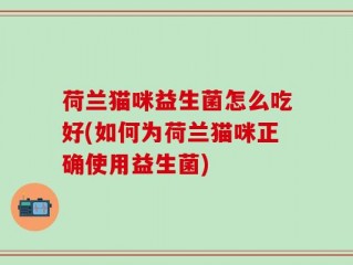 荷兰猫咪益生菌怎么吃好(如何为荷兰猫咪正确使用益生菌)
