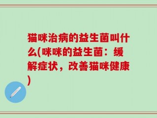 猫咪治病的益生菌叫什么(咪咪的益生菌：缓解症状，改善猫咪健康)