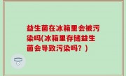 益生菌在冰箱里会被污染吗(冰箱里存储益生菌会导致污染吗？)
