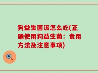 狗益生菌该怎么吃(正确使用狗益生菌：食用方法及注意事项)