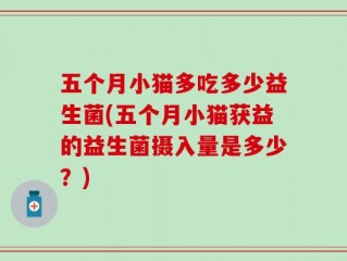 五个月小猫多吃多少益生菌(五个月小猫获益的益生菌摄入量是多少？)