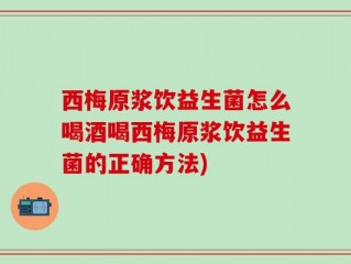 西梅原浆饮益生菌怎么喝酒喝西梅原浆饮益生菌的正确方法)