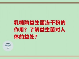 乳糖酶益生菌冻干粉的作用？了解益生菌对人体的益处？