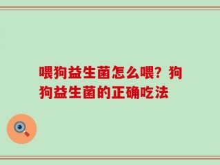 喂狗益生菌怎么喂？狗狗益生菌的正确吃法