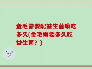 金毛需要配益生菌嘛吃多久(金毛需要多久吃益生菌？)