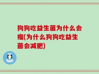 狗狗吃益生菌为什么会瘦(为什么狗狗吃益生菌会减肥)