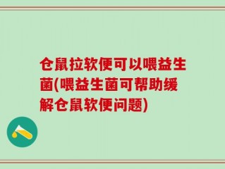 仓鼠拉软便可以喂益生菌(喂益生菌可帮助缓解仓鼠软便问题)