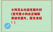 小狗怎么吃益生菌片好(变可爱小狗会正确服用益生菌片，医生支招！)