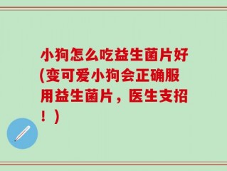 小狗怎么吃益生菌片好(变可爱小狗会正确服用益生菌片，医生支招！)