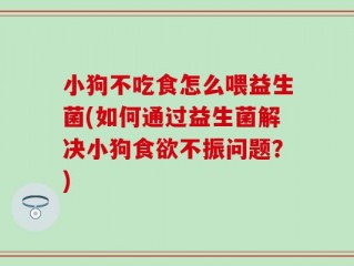 小狗不吃食怎么喂益生菌(如何通过益生菌解决小狗食欲不振问题？)