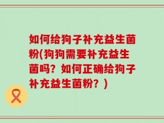 如何给狗子补充益生菌粉(狗狗需要补充益生菌吗？如何正确给狗子补充益生菌粉？)