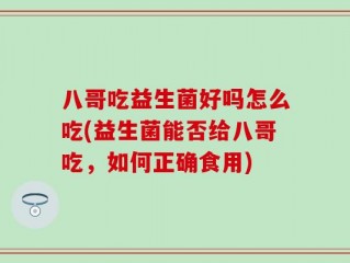 八哥吃益生菌好吗怎么吃(益生菌能否给八哥吃，如何正确食用)