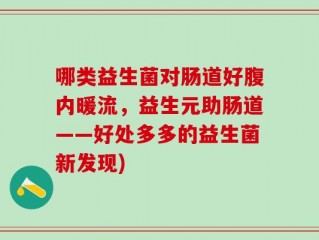 哪类益生菌对肠道好腹内暖流，益生元助肠道——好处多多的益生菌新发现)