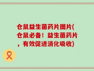 仓鼠益生菌药片图片(仓鼠必备！益生菌药片，有效促进消化吸收)