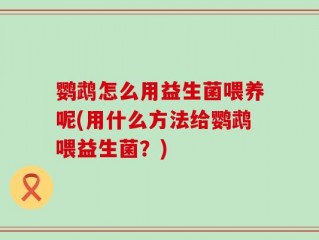 鹦鹉怎么用益生菌喂养呢(用什么方法给鹦鹉喂益生菌？)